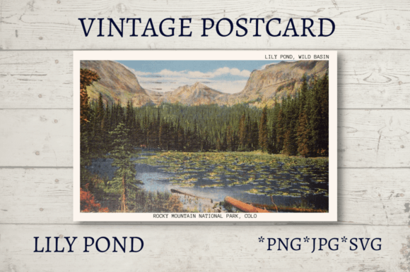 Download Vintage Postcard National Parks Volume 8 - Postcard Collection
