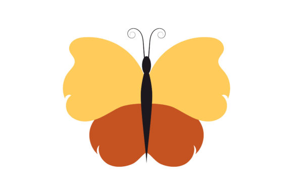 Download Butterfly Tropical Pretty Design - Design Collection